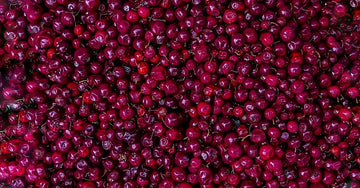 Fresh red cranberries seen from above