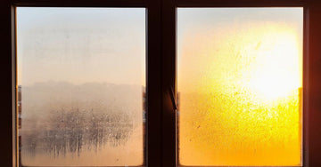 Morning sunlight shining through a frosted window