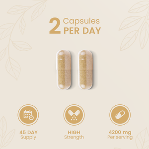 Psyllium Husk Fibre