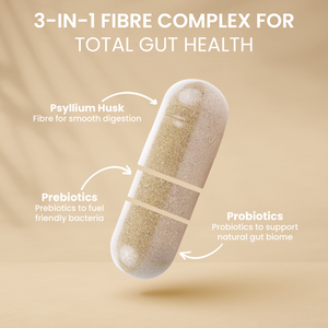 Psyllium Husk Fibre