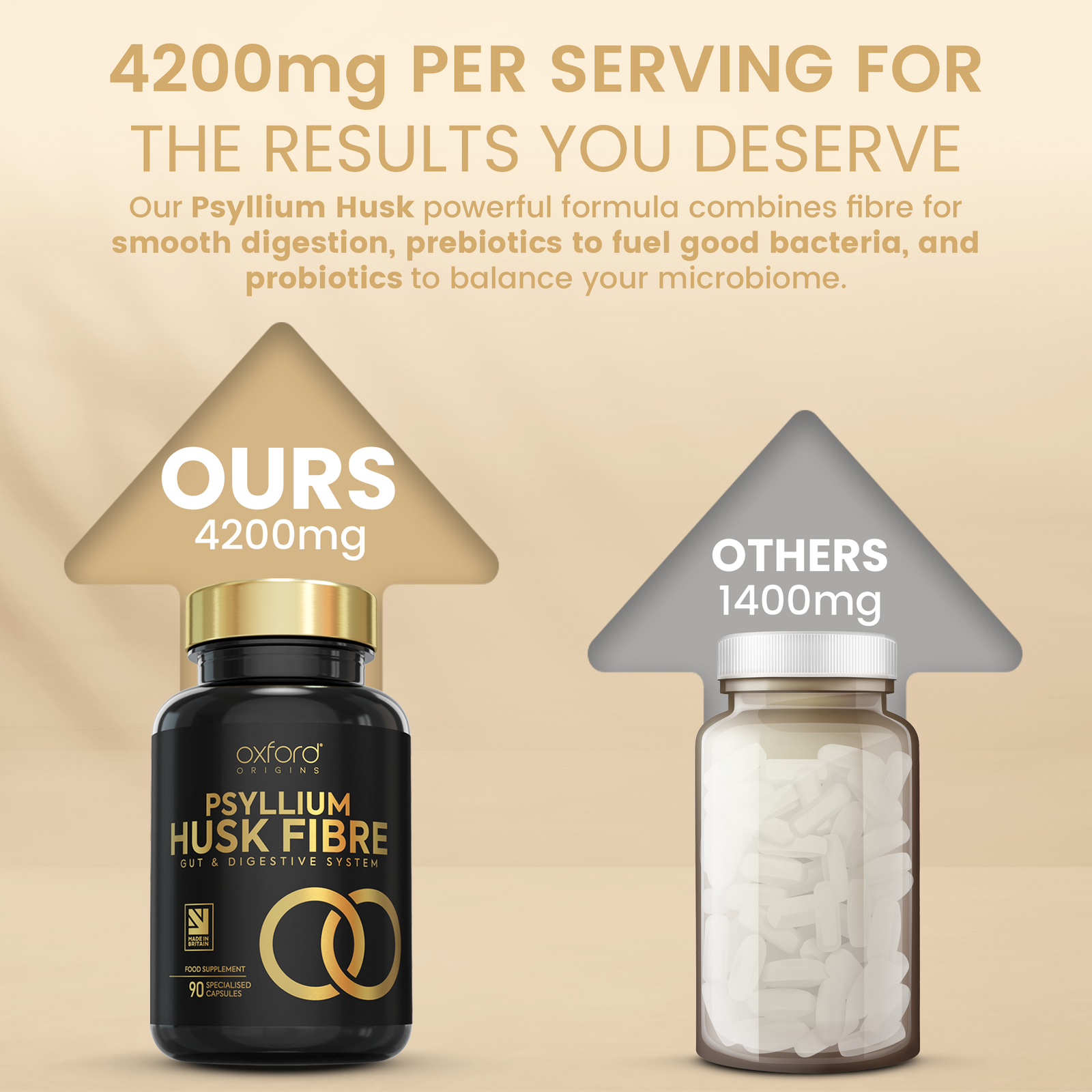 Psyllium Husk Fibre