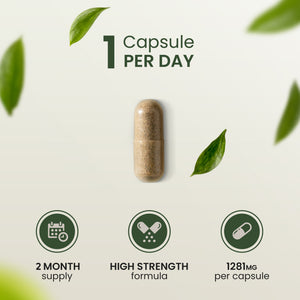 Ashwagandha KSM 66 | Premium One per Day Formulation | High Strength KSM 66 Boosted with Vitamin B6 & Black Pepper | 60 Capsules
