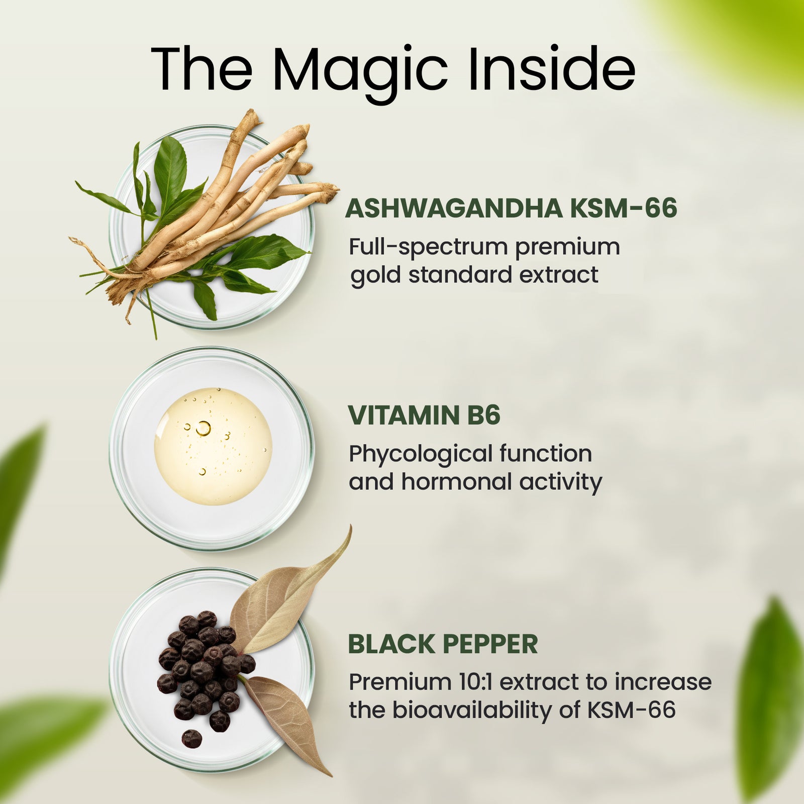 Ashwagandha KSM 66 | Premium One per Day Formulation | High Strength KSM 66 Boosted with Vitamin B6 & Black Pepper | 60 Capsules