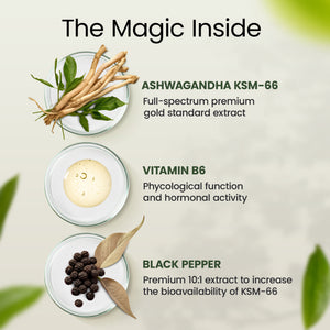 Ashwagandha KSM 66 | Premium One per Day Formulation | High Strength KSM 66 Boosted with Vitamin B6 & Black Pepper | 60 Capsules