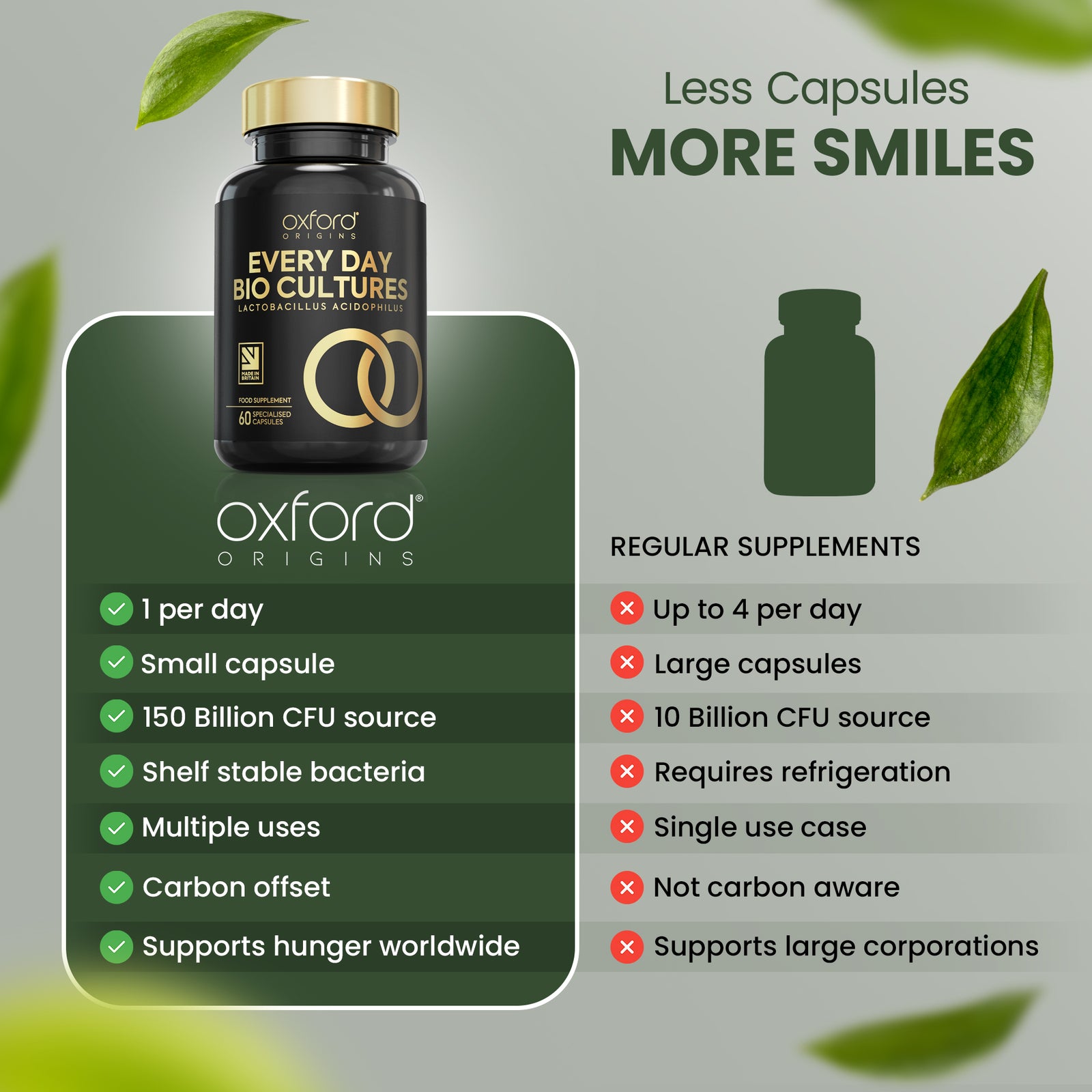 Lactobacillus Acidophilus Probiotics for Gut Health | 60 Capsules