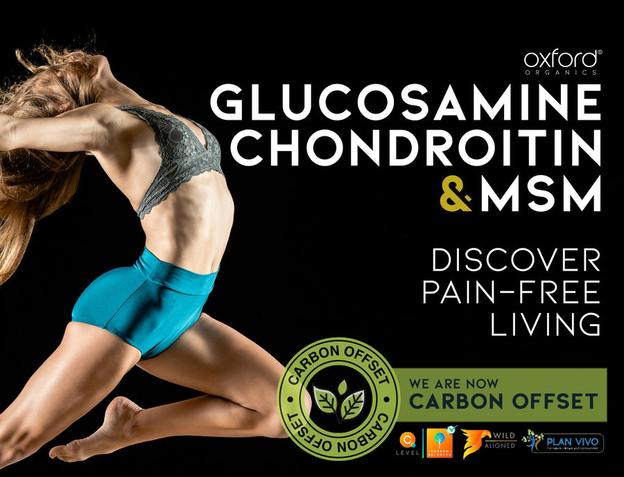 Glucosamine, Chondroitin & MSM with Collagen, Citrus Bioflavonoid and Ginger Root Extract | 60 Tablets